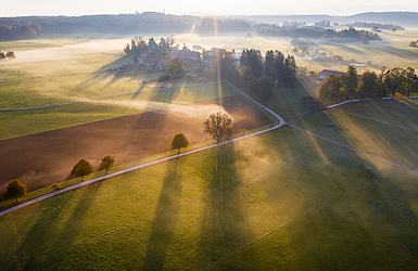 GettyImages Sonnenaufgang über Wiese